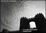 Forgotten Reign